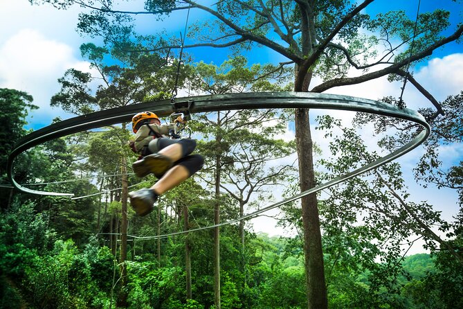 Jungle Flight Zipline Roller Coaster - Key Points