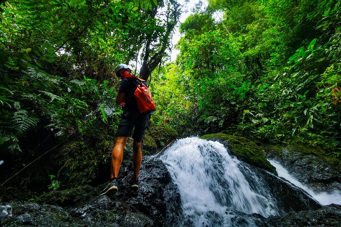 Jungle Hike With Canyoning and Rappelling in Drake Bay - Key Points