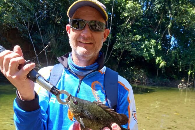 Jungle Perch Half Day Adventure in Cairns - Key Points