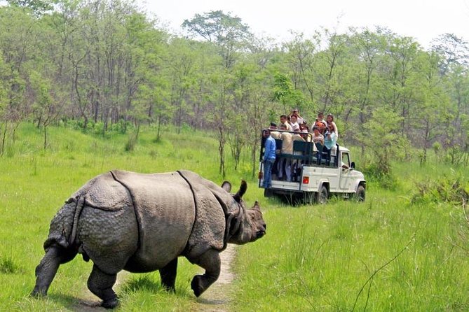 Jungle Safari Tour in Chitwan National Park - Key Points