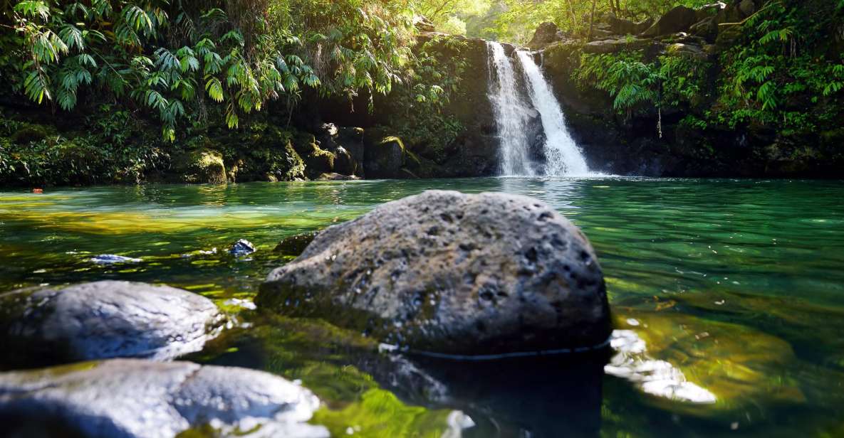 Kahului: Guided Rainforest and Waterfall Walk - Key Points