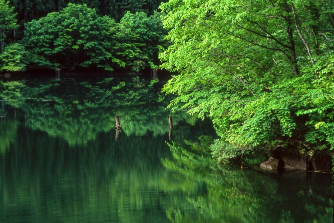 Kamikochi Feel Nature and Hiking 1 Day Trip (Near Takayama) - Key Points