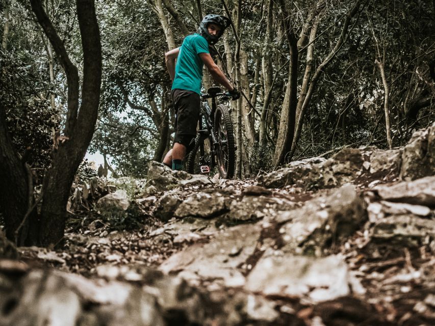 Kanfanar: Enduro Bike Tour With Istrian Delicacies Tasting - Key Points