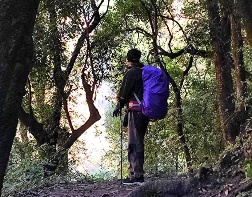 kathmandu green hike jama chwok tree planting day tour Kathmandu: Green Hike Jama Chwok & Tree Planting Day Tour