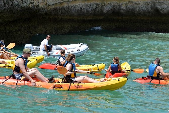 Kayak Guided Session in Albufeira Coastline - Key Points