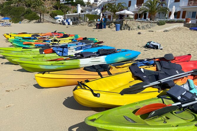 Kayak Rental in Almadrava Beach - Key Points