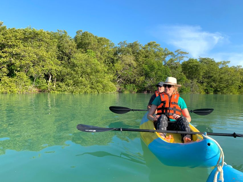 Kayak Tour Through Holbox Mangroves - Key Points