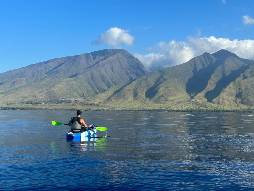 Kayak, Whale Watch And Snorkel At Turtle Town - Key Points