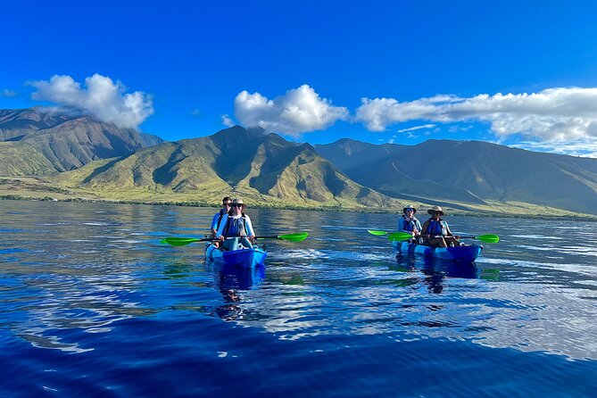 Kayak, Whale Watch, and Snorkel @ Turtle Town With Optional Photo - Key Points