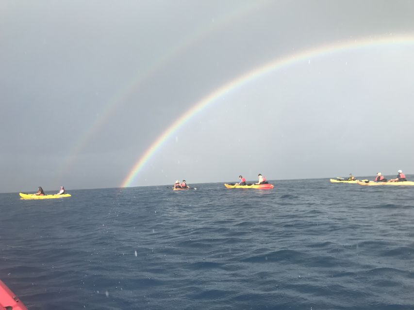 Kayaking and Snorkeling at Turtle Reef - Key Points