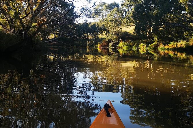 Kayaking in Geelong Victoria - Key Points