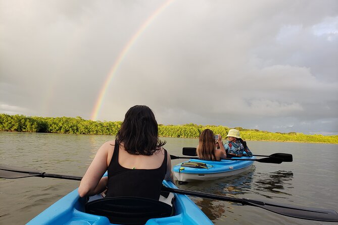 Kayaking Tour Chiriqui - Key Points