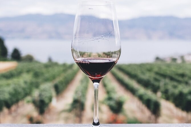 Kefalonia Wine Adventure in 3 Wineries With Tastings - Key Points