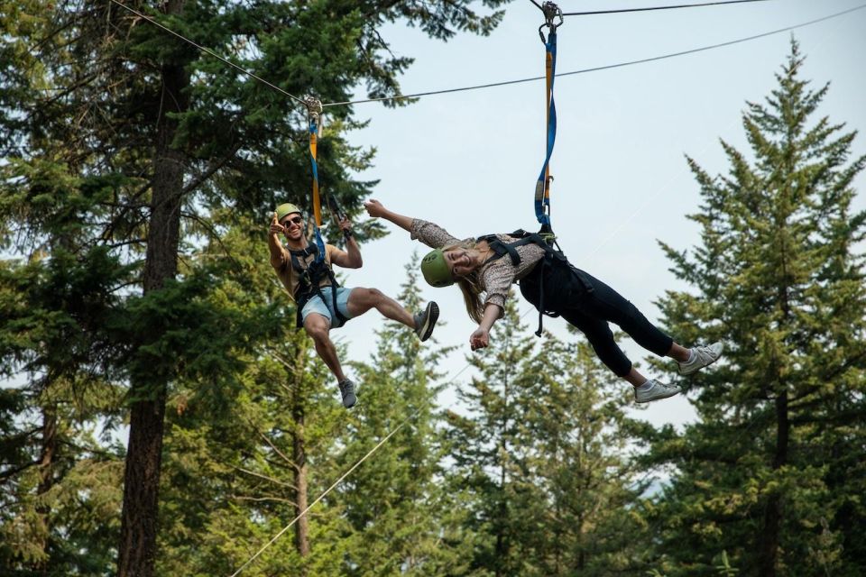 Kelowna: Zipline & Wine Tour - Key Points