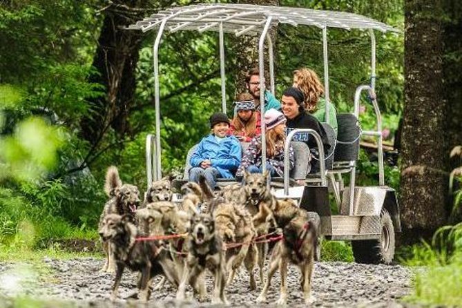 Kennel Tour and Dog Sled Ride - Key Points