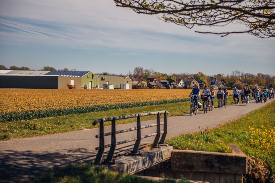 Keukenhof: Flower Fields Small-Group Cultural Bike Tour - Key Points