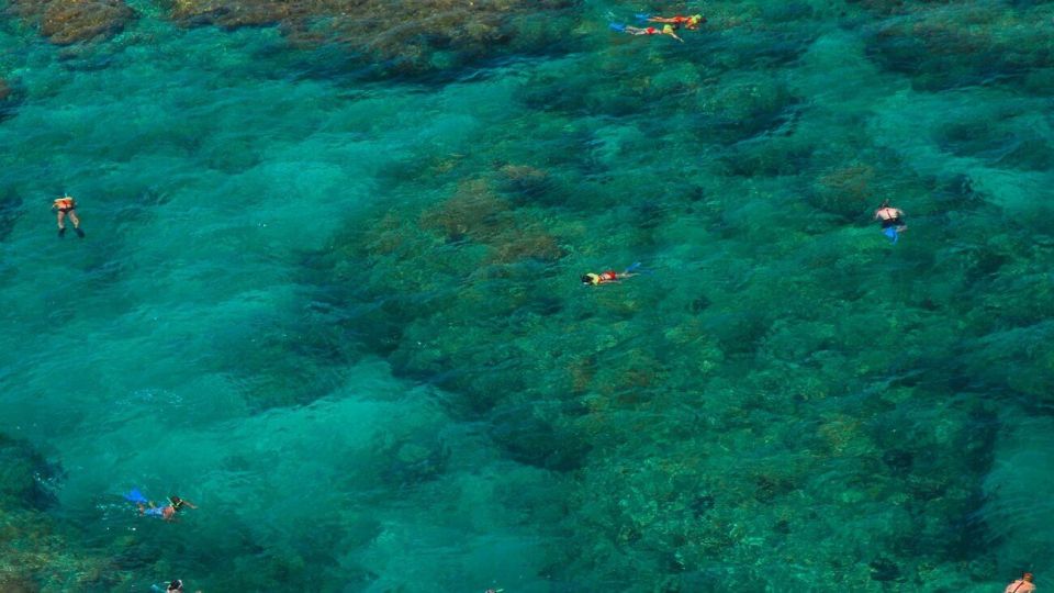 Key West: 3-Hour Snorkeling Adventure - Key Points