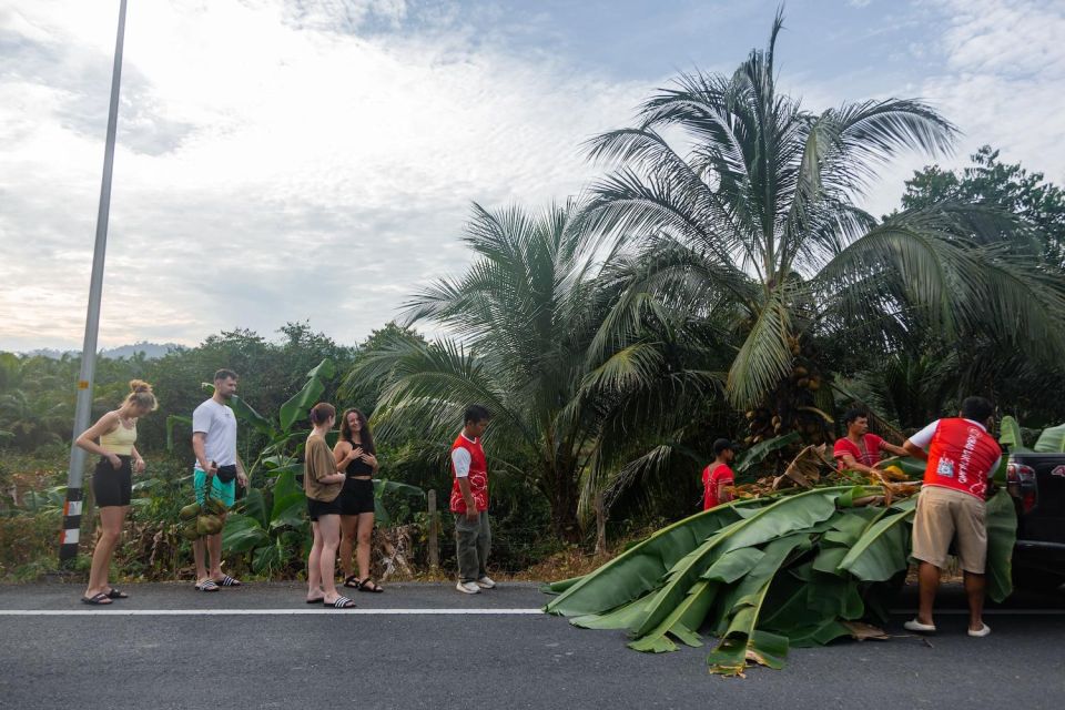 Khao Lak Eco Safari: Elephant Sanctuary Small Group Tour - Key Points