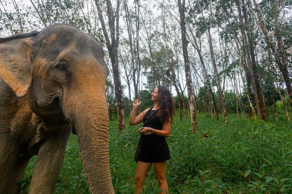 Khaolak: Sunset Elephant Walk With Complimentary Cocktail - Key Points