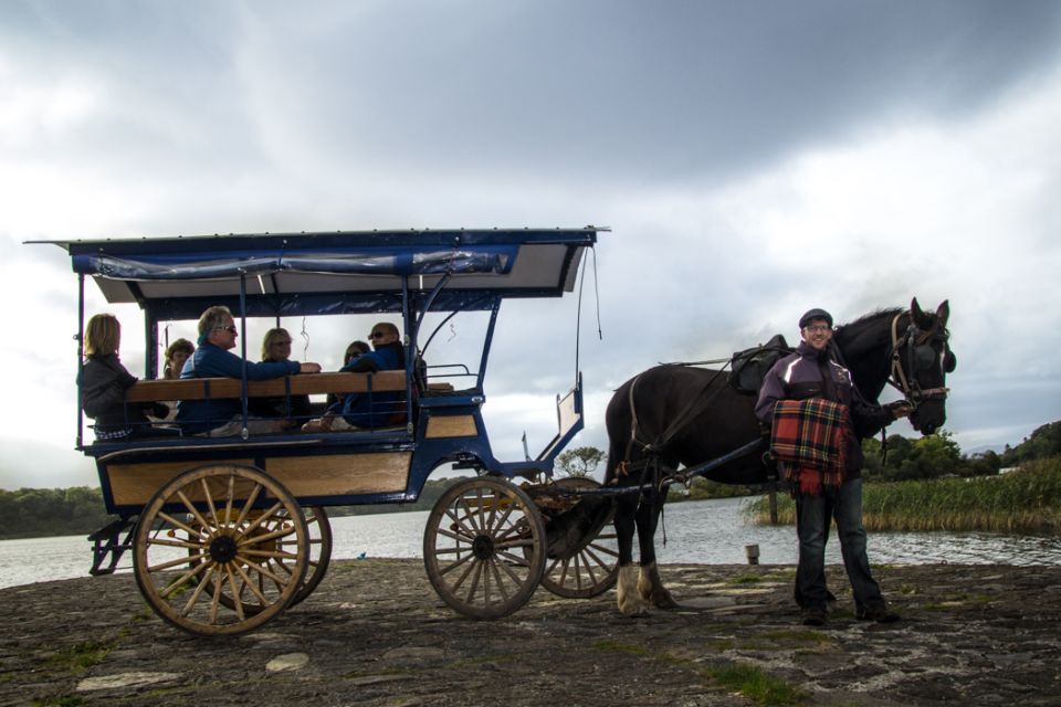 Killarney on Horse & Carriage: 1-Hour Jaunting Car Tour - Key Points