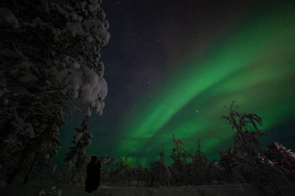 Kiruna: Aurora Midnight Session With BBQ and Snowshoe Hike - Key Points