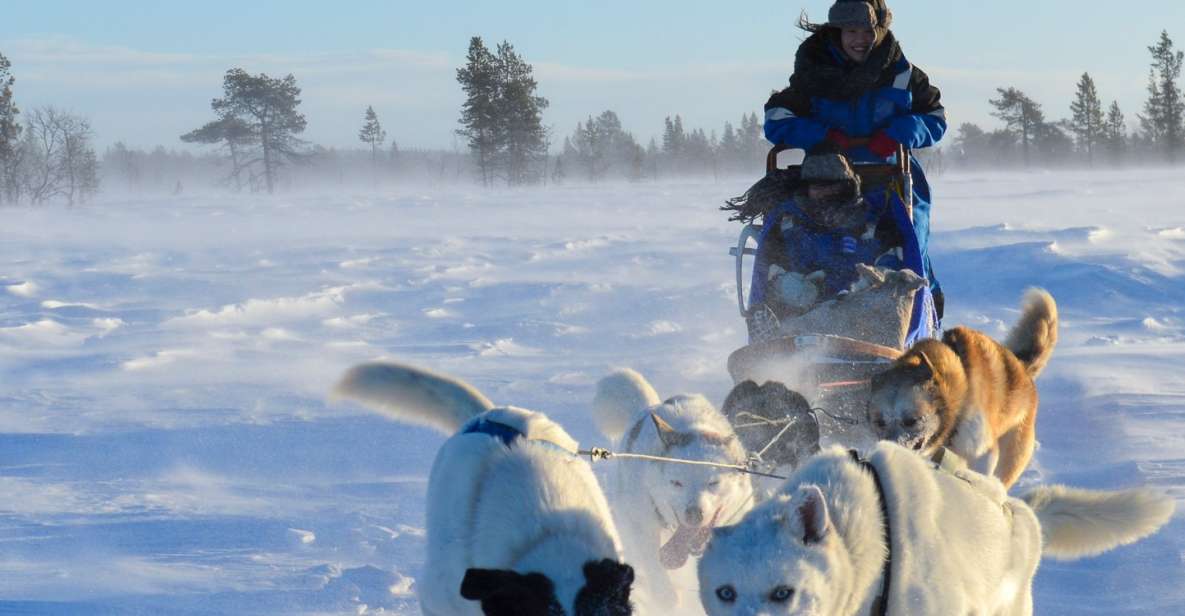 kiruna self drive husky morning tour Kiruna: Self-drive Husky Morning Tour