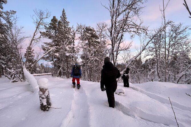 Kiruna Small-Group Snowshoe Activity - Key Points