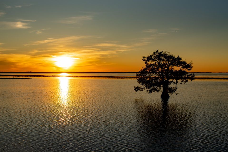 Kissimmee: Boggy Creek Sunset Airboat Tour - Key Points