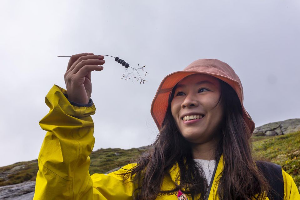 Kjerag: Summer Hike - Key Points