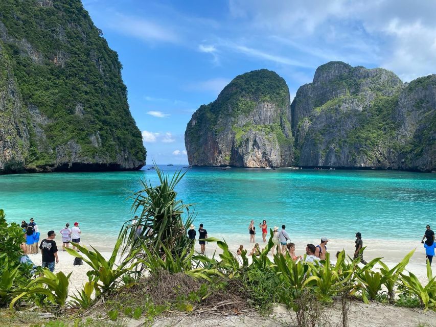 Ko Phi Phi Don: Speedboat Day Trip With Shark Snorkeling - Key Points