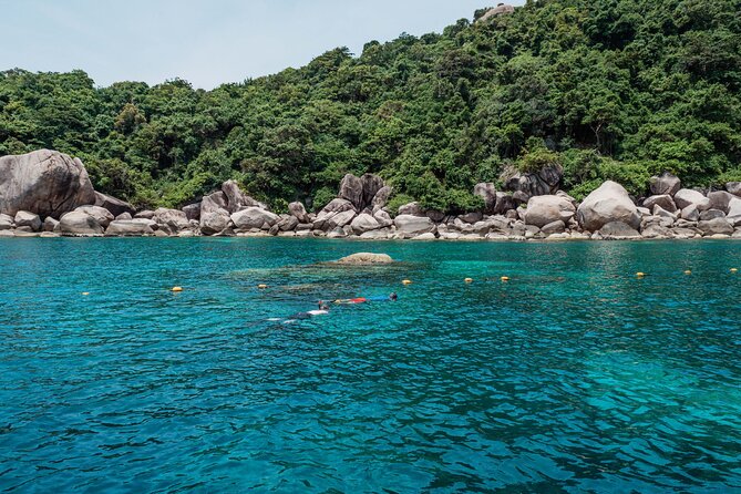 Koh Tao VIP Snorkelling Tour - Key Points