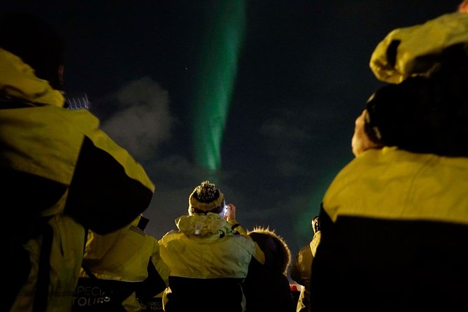 Kopar Fine Dining Dinner and Northern Lights Cruise From Reykjavik - Key Points