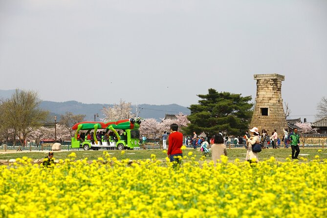 KORAIL Pack Voyager: Gyeongju, Busan and Jeju 5 Days From Seoul - Key Points