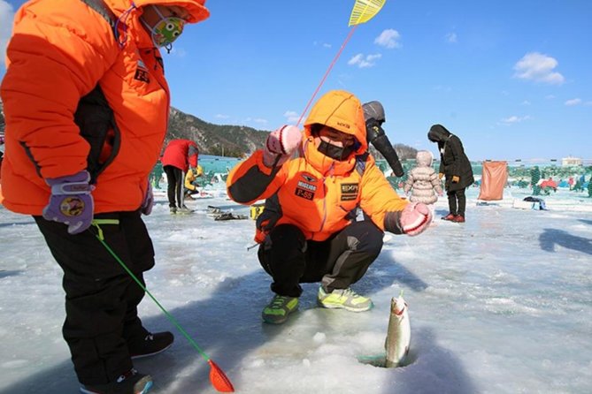 Korea Winter Ice Fishing Festival (Pyeongchang Trout Festival Tent Ice Fishing) - Key Points