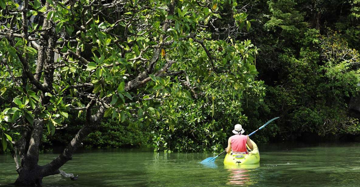 Krabi: Half Day Tour Mangrove Tour Kayaking Tour With Lunch - Key Points