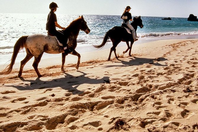 Krabi Horse Riding at Ao Nam Mao Beach - Key Points