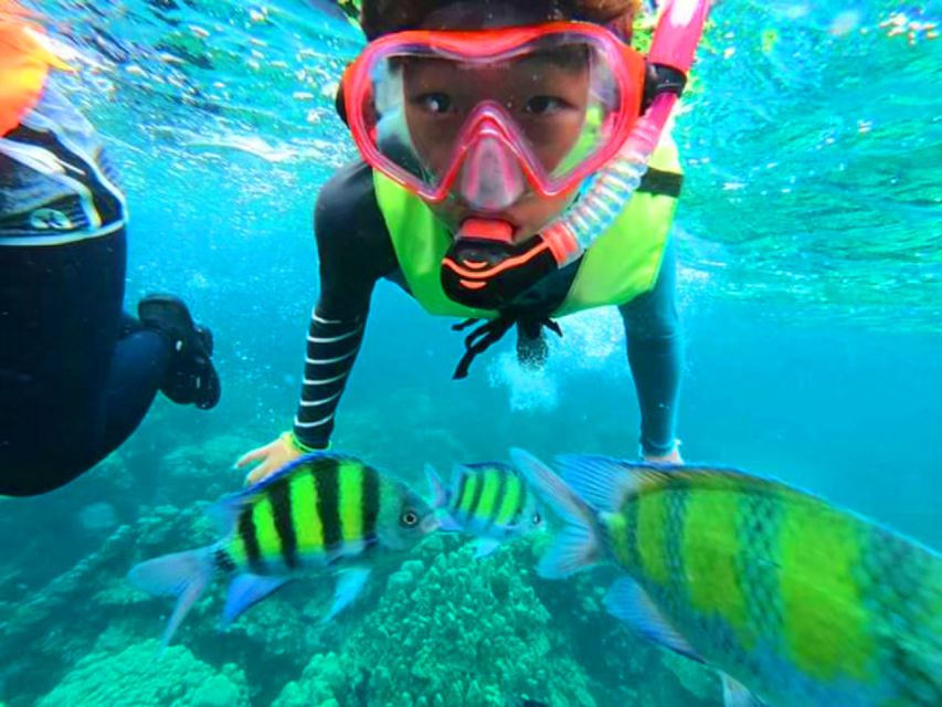 Krabi: Koh Rok & Koh Haa Hidden Snorkeling Tour by Speedboat - Key Points