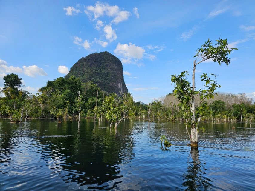 Krabi: South Kayak Klong Root Kayaking Tour - Key Points