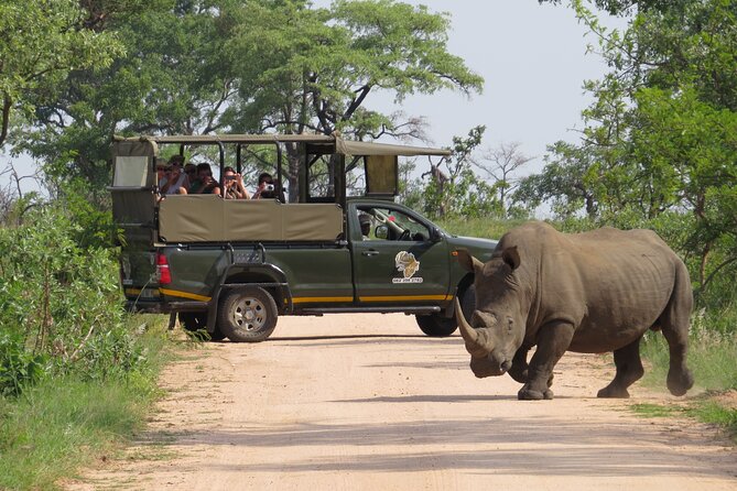 Kruger National Park Afternoon Private Safari - Key Points