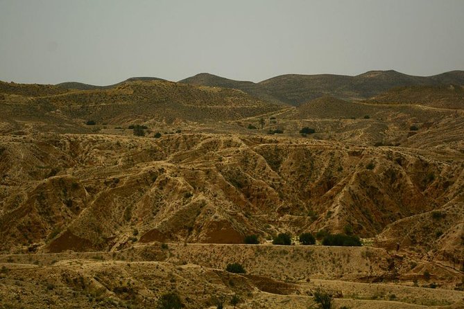 Ksar Ghilane 1 Day: the Hot Spring and the Homestay - Key Points