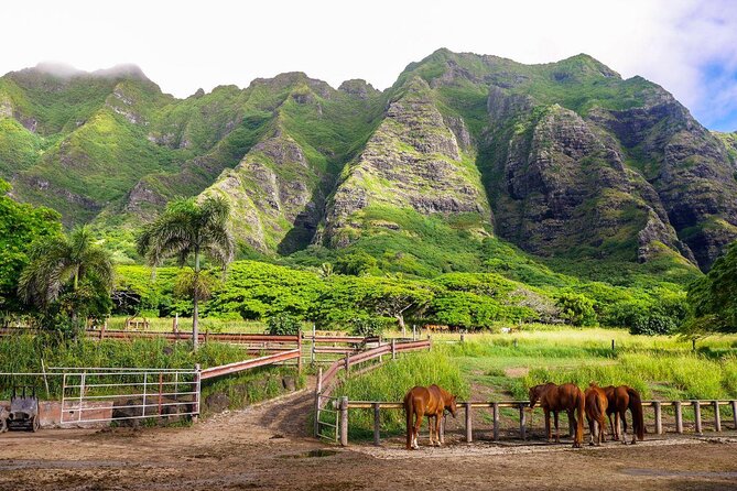 Kualoa Ranch and East Oahu Adventure With Chocolate, Beaches  - Honolulu - Key Points