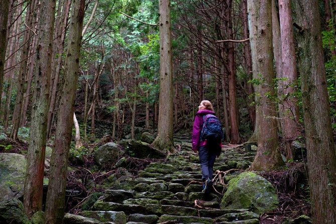 Kumano Kodo Pilgrimage Full-Day Private Trip With Government Licensed Guide - Key Points