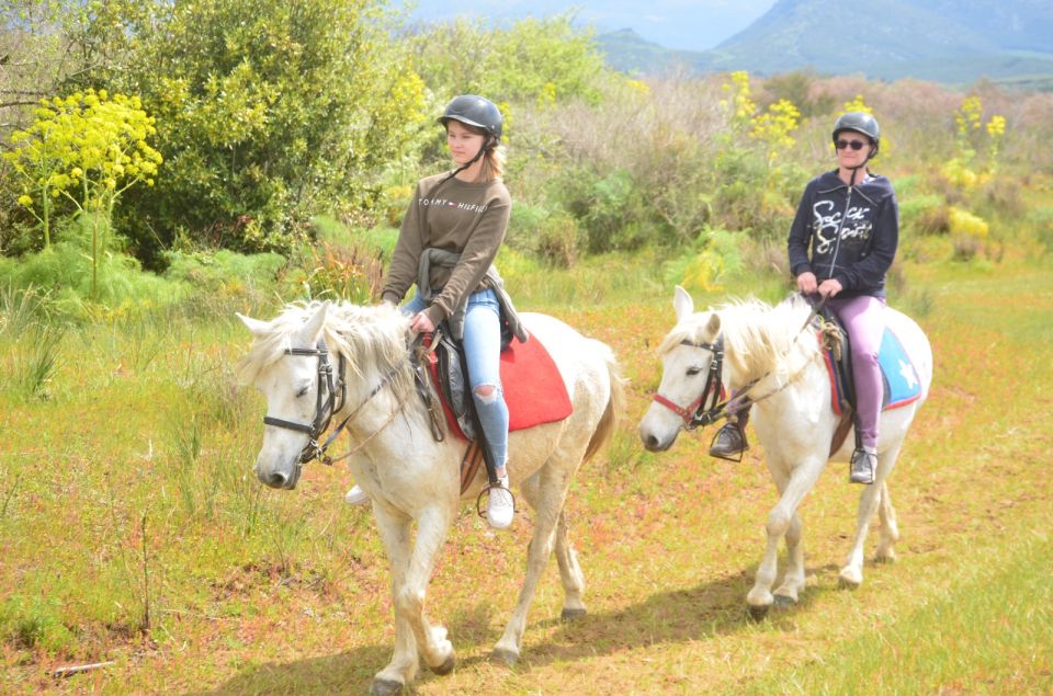 Kusadasi: Beach and Forest Horse Riding Tour - Key Points