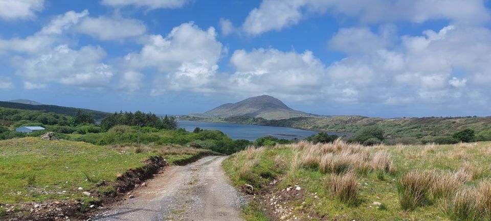 Kylemore, Sheep Farm and Connemara Private Limousine Tour - Key Points