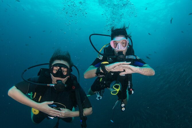 La Bombona Diving Koh Tao Open Water Course - Key Points