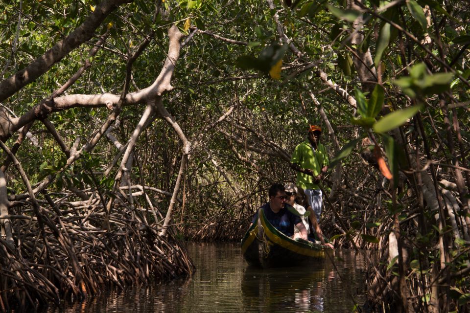 La Boquilla: 3-Hour Canoe Tour Through the Manglars - Tour Duration and Highlights