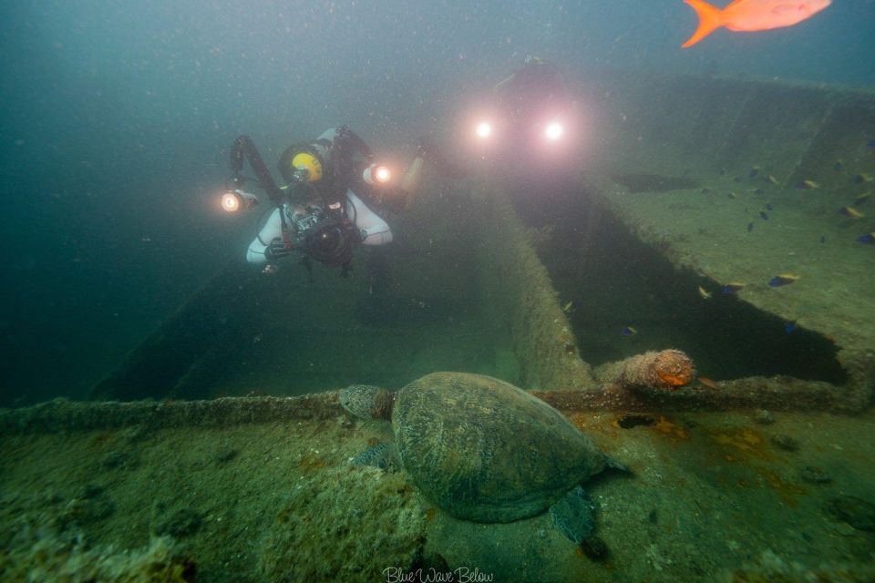 La Paz: Shipwreck Diving Experience - Key Points