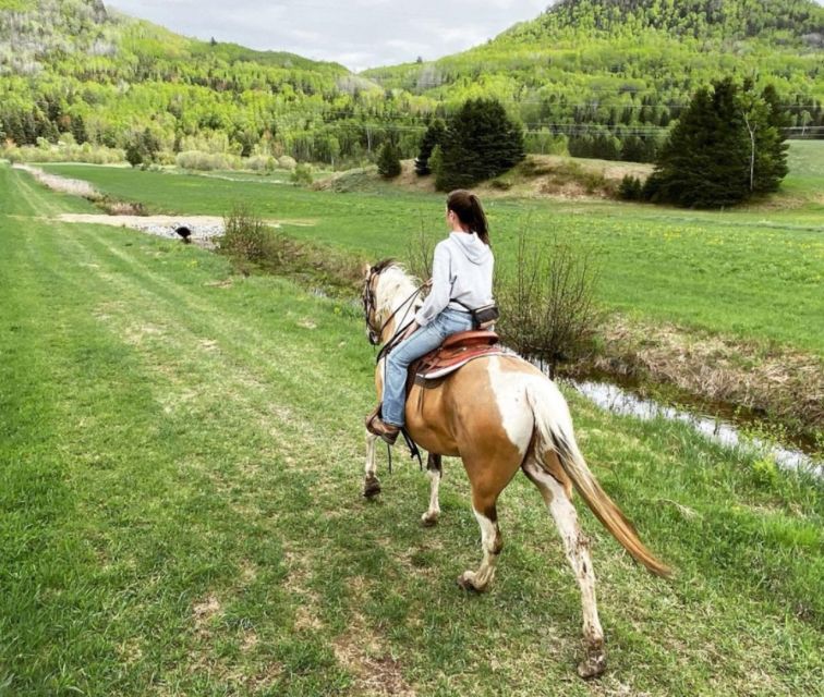 La Vallée: a Charming Introduction to Horseback Riding - Key Points