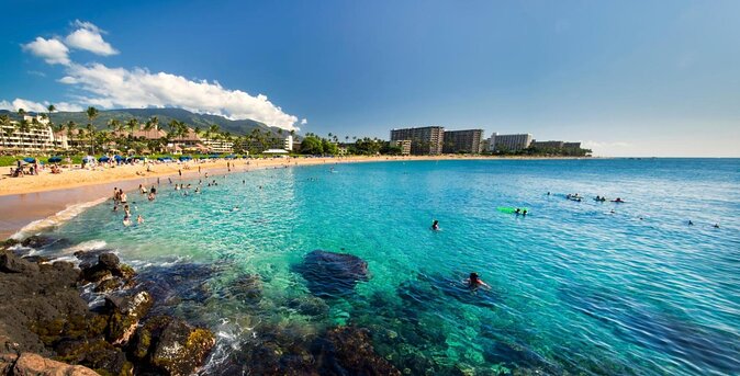 Lahaina Small-group Scuba Review Dive  - Maui - Key Points