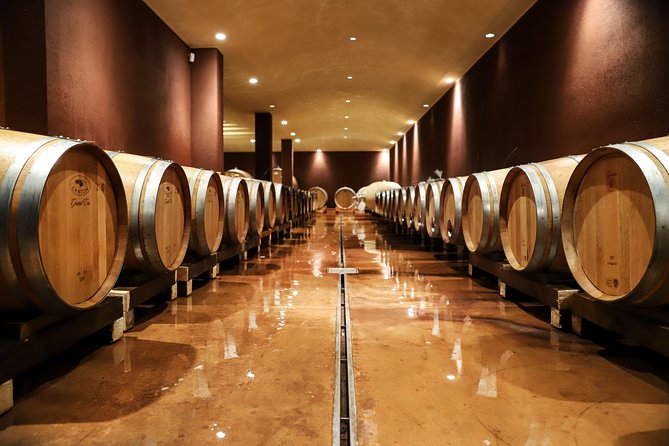 Lake Garda: Wine Tour & Tasting Experience in Bardolino Area - Key Points
